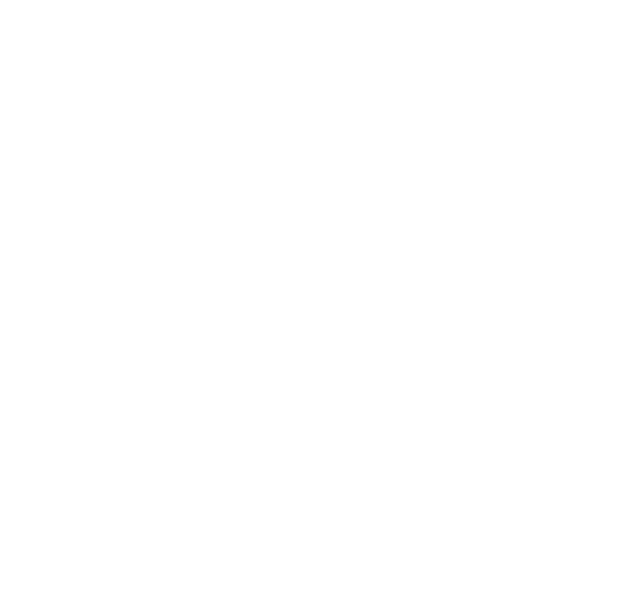 Partner 16